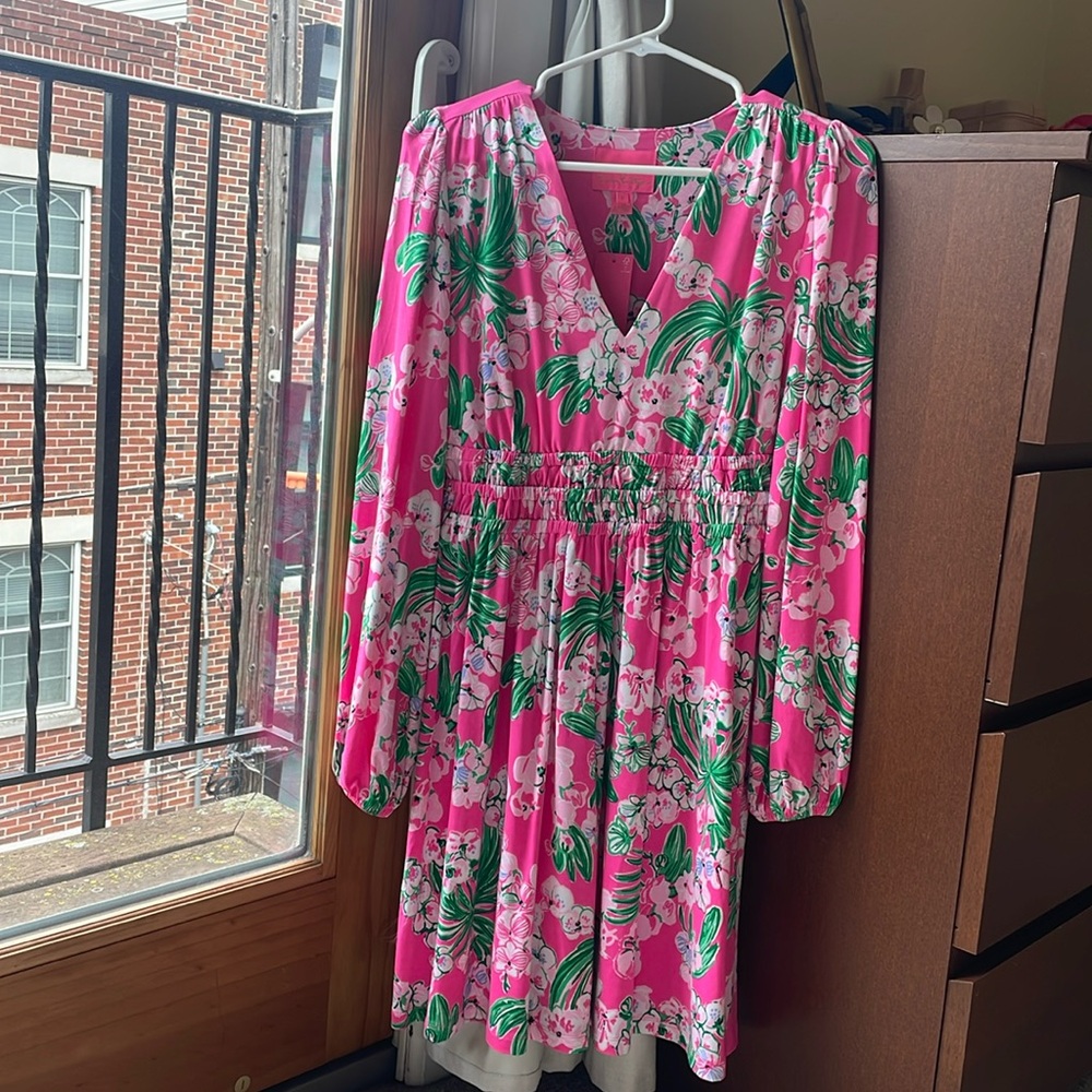 Pink Lilly Pulitzer dress